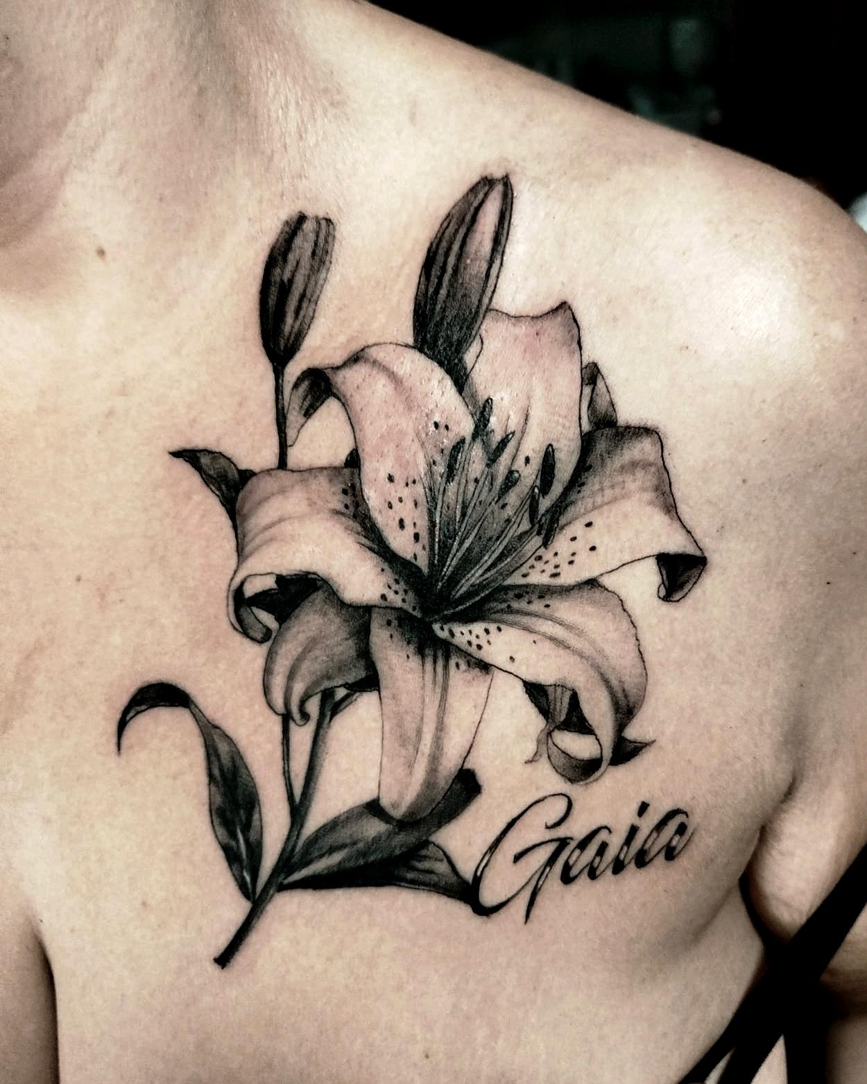 WhatsApp Image 2026-01-22 at 10.57.18